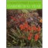 Christopher Lloyd's Gardening Year