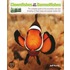 Clownfishes And Other Damselfishes