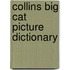 Collins Big Cat Picture Dictionary