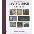 Dictionary Of Living Irish Artists