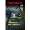 Fear Street. Geheimnis des Grauens door R.L. Stine