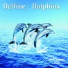 Dolphins by Anonymous Anonymous