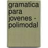 Gramatica Para Jovenes - Polimodal door Maria Silvia Chozas