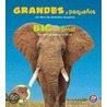 Grandes y pequenos / Big and Small by Lisa Marie Bullard