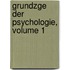 Grundzge Der Psychologie, Volume 1