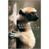 Guide To The Mammals Of Madagascar by Nick Garbutt