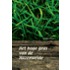 Het hoge gras van de Hazenweide
