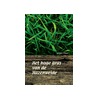 Het hoge gras van de Hazenweide