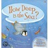 How Deep Is the Sea? [With Poster]