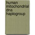 Human Mitochondrial Dna Haplogroup