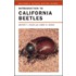 Introduction to California Beetles