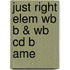 Just Right Elem Wb B & Wb Cd B Ame