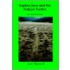 Kaptan June And The Dalyan Turtles
