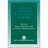 Labour Markets in an Ageing Europe door Onbekend