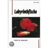 Labyrinthfische. Farbe im Aquarium door Horst Linke