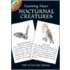 Learning About Nocturnal Creatures