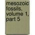 Mesozoic Fossils, Volume 1, Part 5