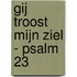 Gij troost mijn ziel - Psalm 23
