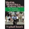 Muslim Minorities In Modern States door Raphael Israeli