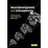 Neurodevelopment and Schizophrenia door MatcheriS. Keshavan