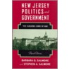 New Jersey Politics and Government door Stephen A. Salmore