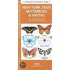 New York State Butterflies & Moths