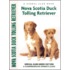 Nova Scotia Duck Tolling Retriever