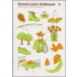Oxford Junior Workbook 5 Trade Edn