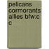 Pelicans Cormorants Allies Bfw:c C