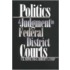 Politics & Judgement in Federal...