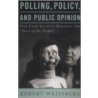 Polling, Policy And Public Opinion door Robert Weissberg