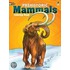 Prehistoric Mammals Colouring Book