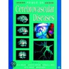 Primer On Cerebrovascular Diseases by Louis R. Caplan