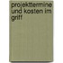 Projekttermine und Kosten im Griff