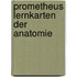 Prometheus Lernkarten der Anatomie