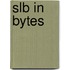 SLB in bytes