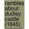 Rambles About Dudley Castle (1845) door William Harris