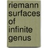 Riemann Surfaces Of Infinite Genus