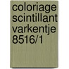 Coloriage scintillant varkentje 8516/1