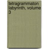 Tetragrammaton Labyrinth, Volume 3 by Ei Itou
