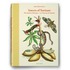 Merian - Insects Of Surinam
