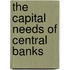The Capital Needs of Central Banks