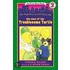 The Case of the Troublesome Turtle