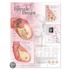 The Female Breast Anatomical Chart