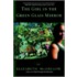 The Girl in the Green Glass Mirror