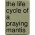 The Life Cycle of a Praying Mantis