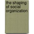 The Shaping Of Social Organization