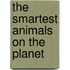 The Smartest Animals on the Planet