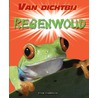 Regenwoud