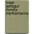 Tvaer Aefisgur Tlendra Merkismanna